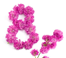 The number eight from flowers