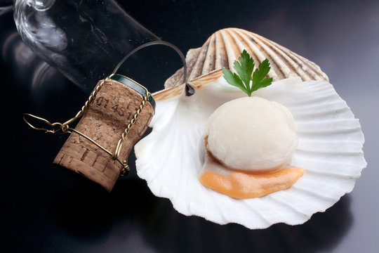 Cappesanta & Champagne