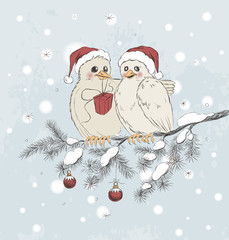 Two cute birds with Christmas hats