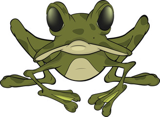 Fototapeta premium The big green frog. Cartoon