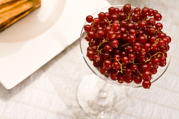 red currant