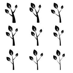 vector tree symbols