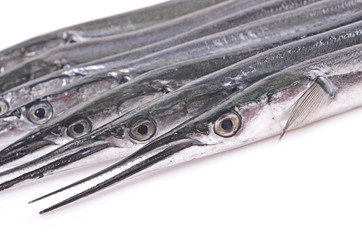 Garfish (Belone belone) raw , isolated over white