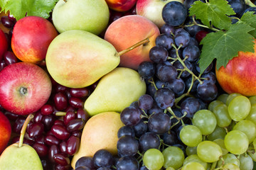 Naklejka na ściany i meble Handful of different fresh fruit