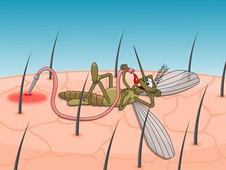 Cartoon mosquito lying and drinking blood