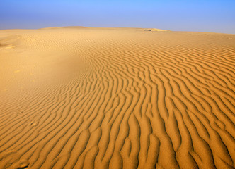 Sand Dunes Landscape