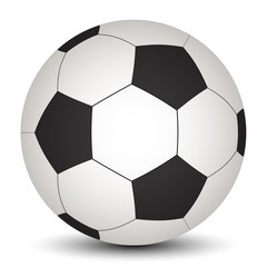 Fototapeta premium vector soccer ball