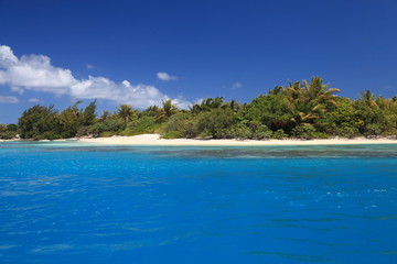 Beach with Coconut Trees in Perfect Blue Lagoon of Maupiti, French Polynesia.