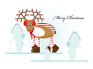 christmas deer in forest