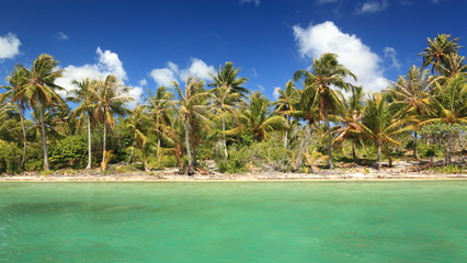 Dreamlike Island in the South Pacific with Coconut Trees and Turquoise Water.