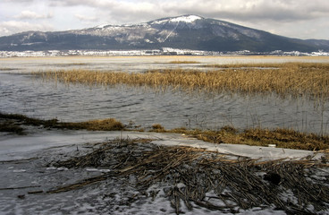 Fototapeta na wymiar frozen lake in slovenia