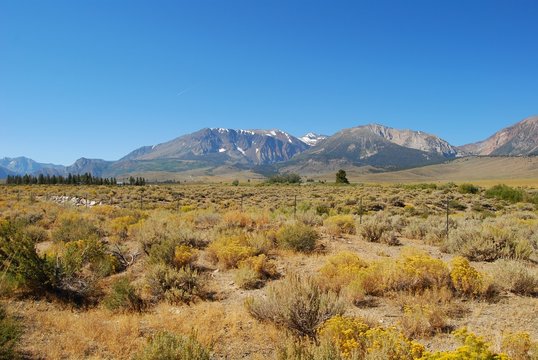 prateria americana