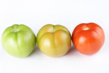 Three tomatoes of different maturity