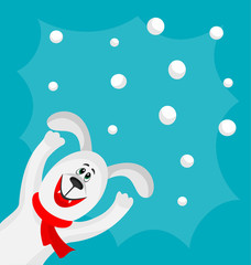 Grey dog and snowballs
