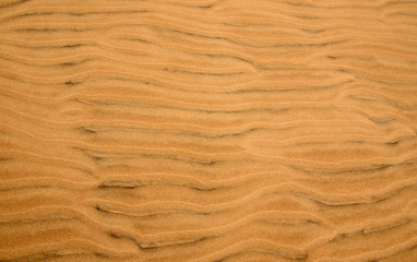 Sand dune's closeup detail