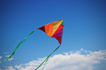 Kite in the blue sky.