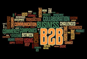 B2B concept in tag cloud on black background
