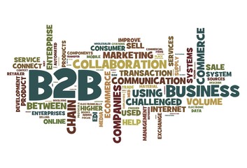 B2B concept in tag cloud on white background