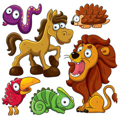 Animals Collection © h4nk