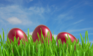 Isolated green grass on white background