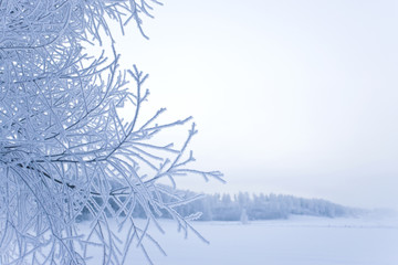 Winter in the finland