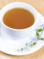 Cup of green tea decorated with mint twig