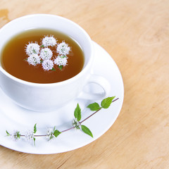 Cup of green tea with flowers of peppermint floating in it