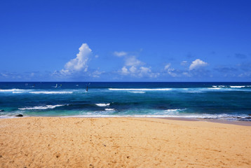 Fototapeta na wymiar Tropical Beach in Hawaii