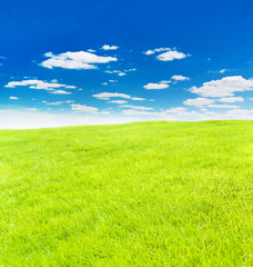 Fototapeta na wymiar green meadow under nice sky