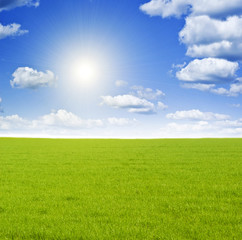 Fototapeta na wymiar green meadow under nice sky