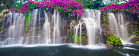 Foto op Canvas Prachtige weelderige waterval © EpicStockMedia