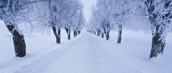 Winter in the finland