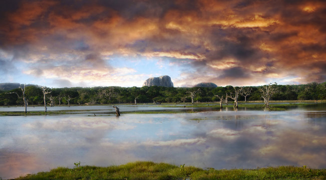 Sunset In Yala