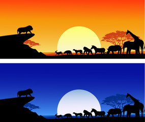 Safari background silhouette