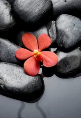  beautiful red orchids with therapy stones © Mee Ting