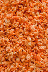 Dry Shrimp