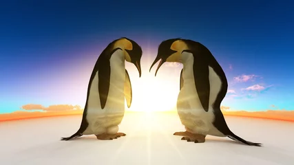 Lichtdoorlatende rolgordijnen zonder boren Vogel pinguïn