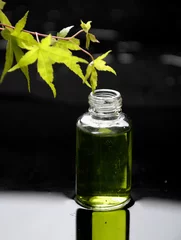 Fototapeten tranquil spa scene-green ivy with bottle of essential oil © Mee Ting