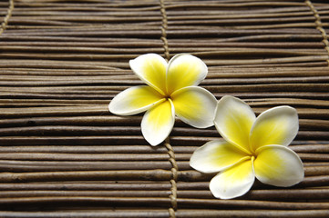 Fototapeta na wymiar Zestaw frangipani kwiat na maty bambusowe