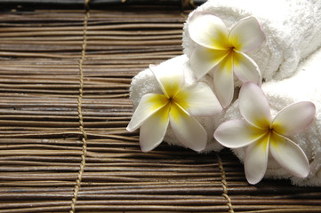 Fototapeta na wymiar frangipani flower with Frangipani on straw mat