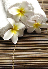 Fototapeta na wymiar Roller towel with frangipani on stick straw mat