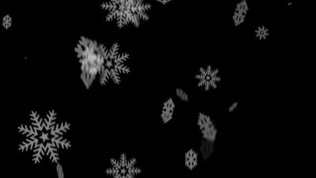 Black and white snowflake 1