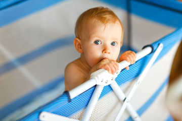 Portrait of baby in playpen