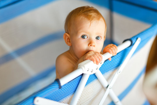 Portrait Of Baby In Playpen