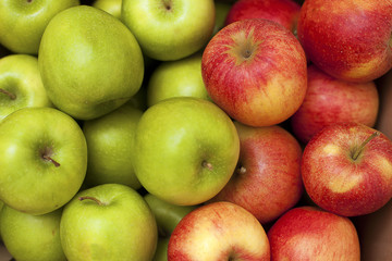 green and red apple background