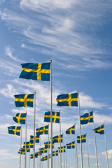Swedish flag