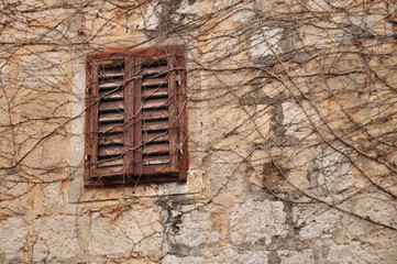 wooden blind of a window on wall covered with ivy