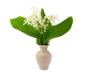 .lily of the valley
