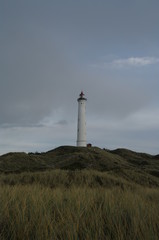 Fototapeta na wymiar Leuchtturm Lyngvig auf Holmsland Klit 6