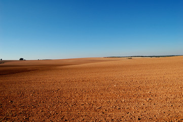 Spanish field in winter